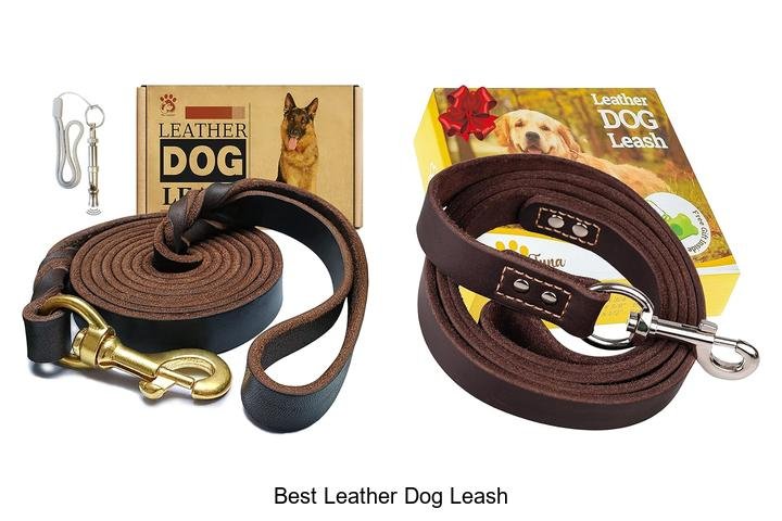 Discover the Best Leather Dog Leash Today!