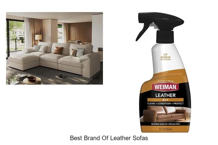 Best Brand Of Leather Sofas That Will Transform Your Living Room