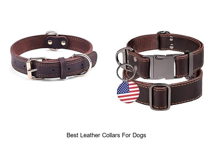 Best Leather Collars For Dogs That Will Blow Your Mind!