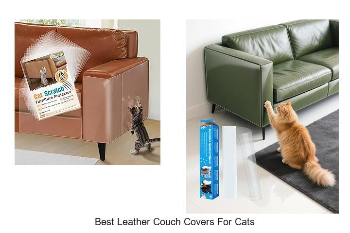 BEST LEATHER COUCH COVERS FOR CATS: PROTECT & PRESERVE