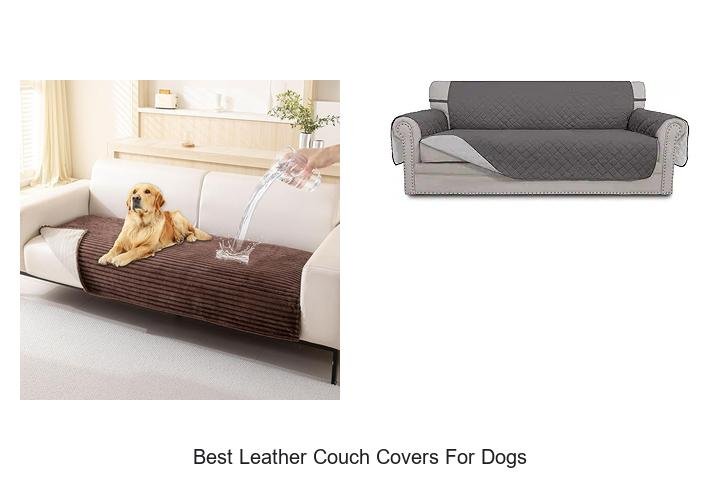 Best Leather Couch Covers for Dogs That Protect Instantly