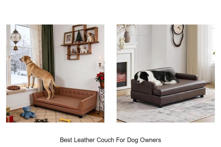 Best Leather Couch For Dog Owners: Top Durable Picks Now