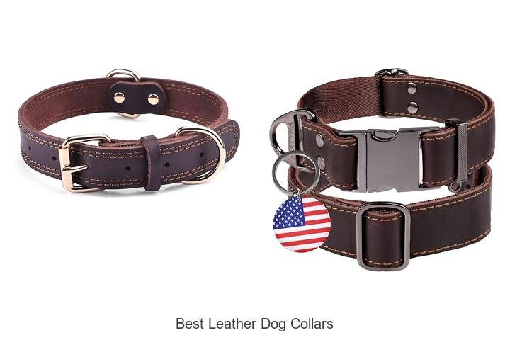 Best Leather Dog Collars That Will Blow Your Mind!