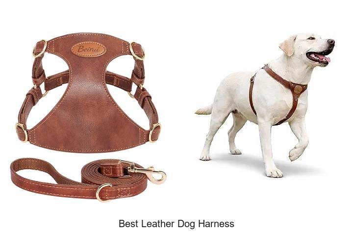 BEST LEATHER DOG HARNESS YOUR PUP WILL LOVE