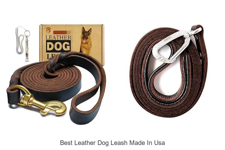 BEST LEATHER DOG LEASH MADE IN USA: DISCOVER WHY