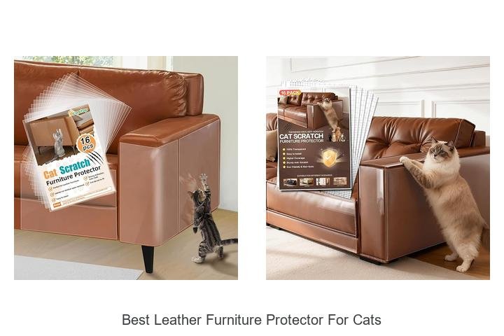 Best Leather Furniture Protector For Cats: Ultimate Hack!