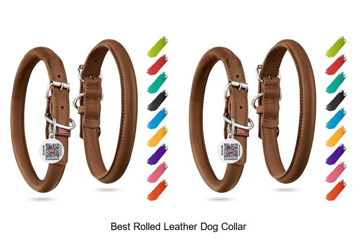 Discover the Best Rolled Leather Dog Collar for Your Pup!