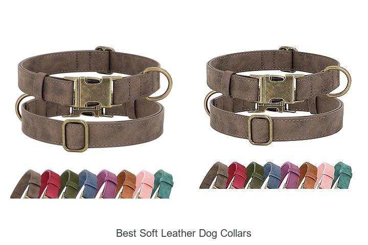BEST SOFT LEATHER DOG COLLARS: YOUR PUP DESERVES THIS!